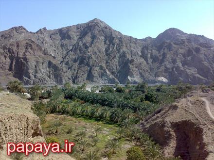 ترند روستای شگفت انگیز