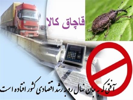 قاچاق کالا، آفتی که به جان نهال رو به رشد اقتصادی کشور افتاده است