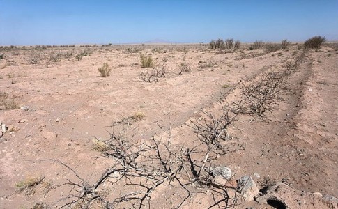 منابع طبیعی
خشکسالی
سیستان و بلوچستان